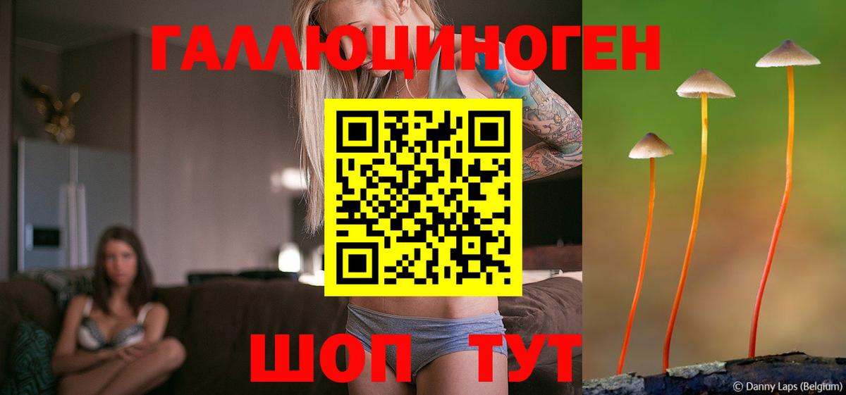 Псилоцибиновые грибы Cubensis  Вход с VPN  Галлюциногенные грибы прущие грибы  Усолье-Сибирское 